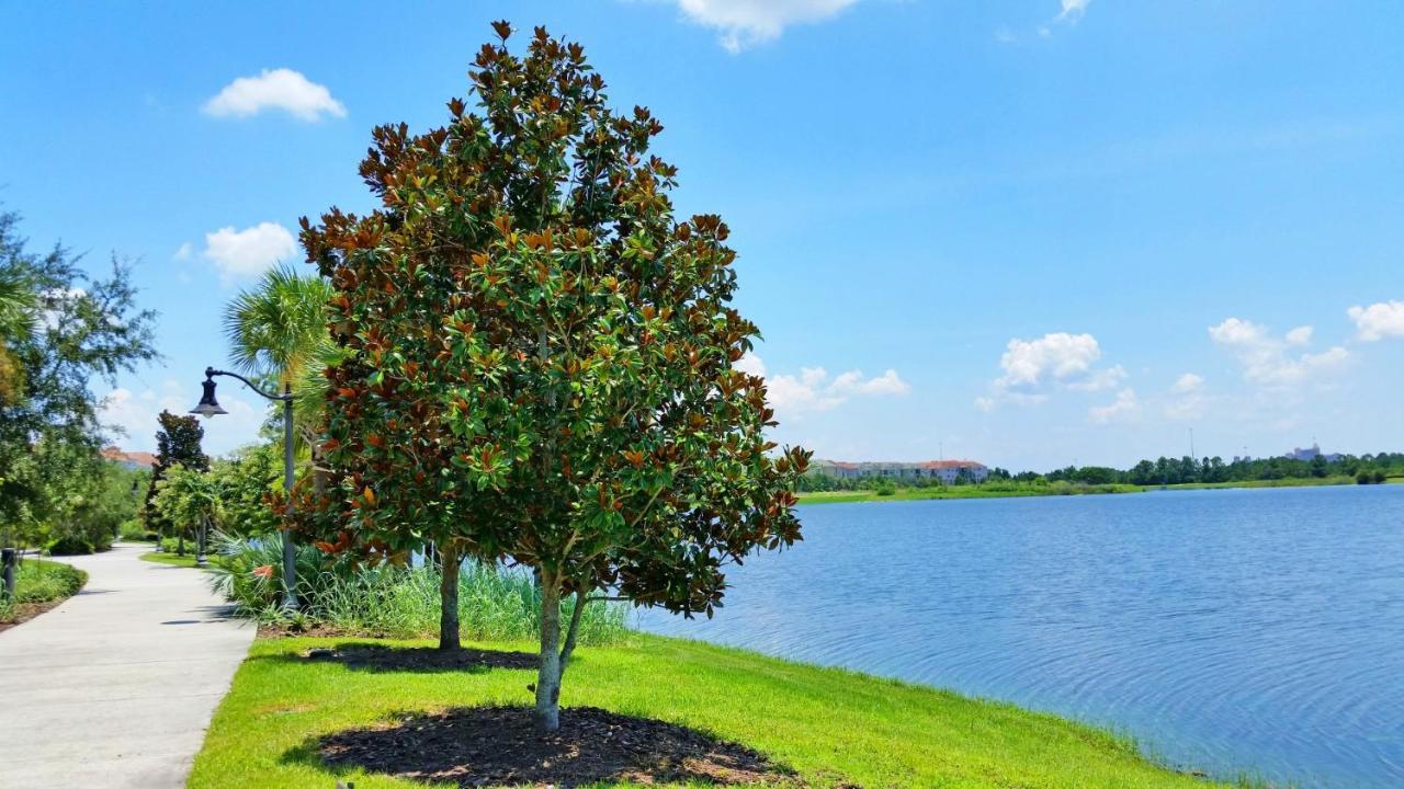 Luxury Vacation In This Gorgeous Vista Cay Condo Kissimmee Eksteriør billede